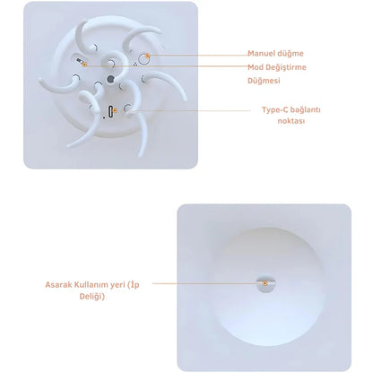 Aurelia™ Denizanası